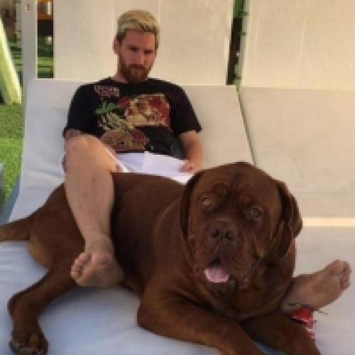 O cachorro de Messi está gigante e os memes estão hilários