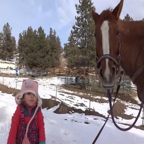 A Garotinha Emma e seu cavalo Canela