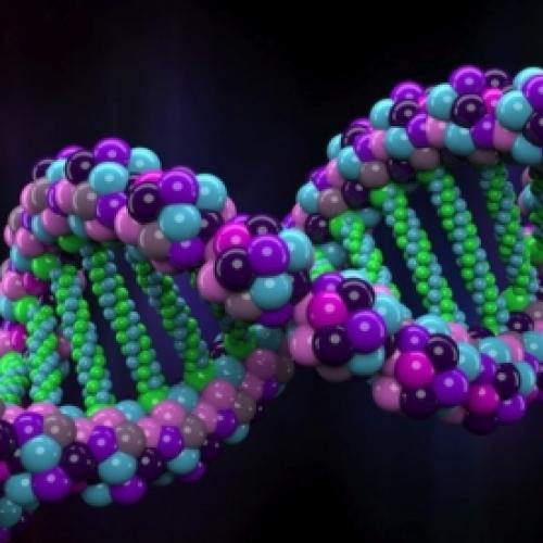 O DNA humano poderá ser o novo meio de armazenar informações.