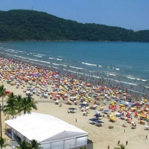 Dedetizadora Praia Grande 24 horas – Onde Encontrar