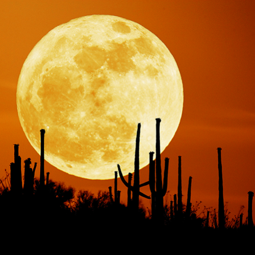 Eclipse lunar total ocorrerá durante a Superlua esta semana!