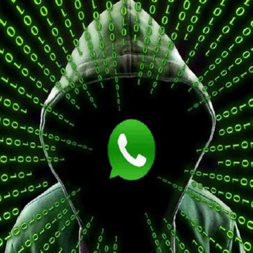 WhatsApp pede que usuários atualizem o app com urgência