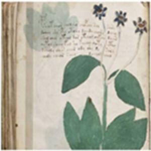 Novos sinais da linguagem Voynich trazem mais mistérios