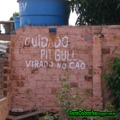 Cuidado pitbull!