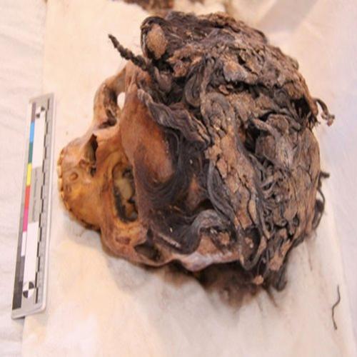 Mulher do Antigo Egito é descoberta com 70 extensões de cabelo