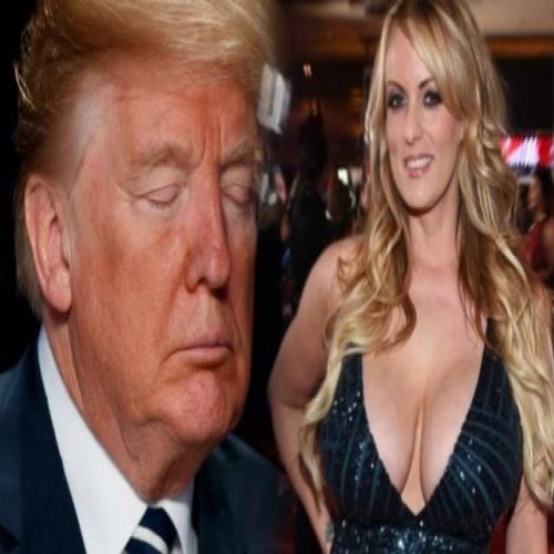 Atriz pornô ironiza defensores de Trump: 