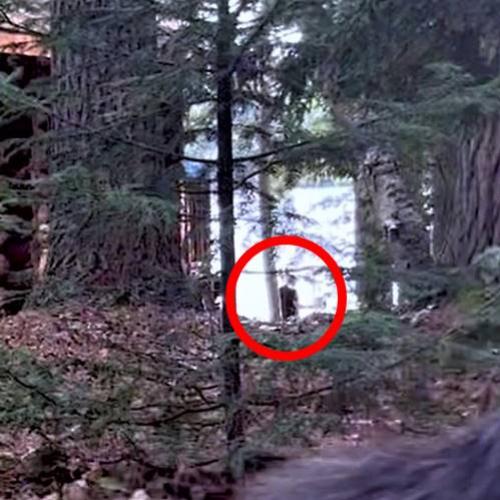 Vídeo revela algo misterioso desaparecendo em lago