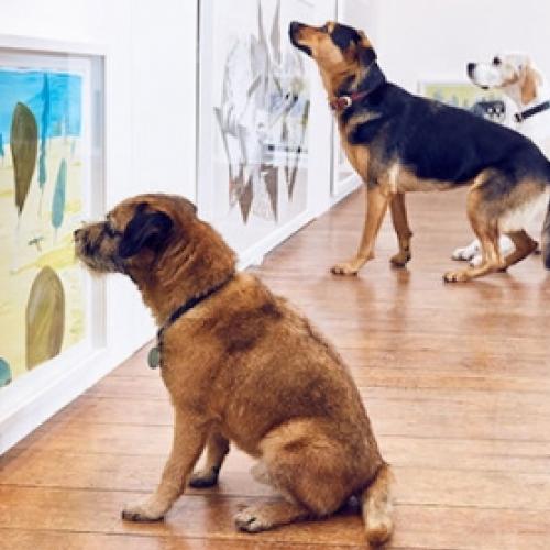 A primeira exibição de arte para cachorros