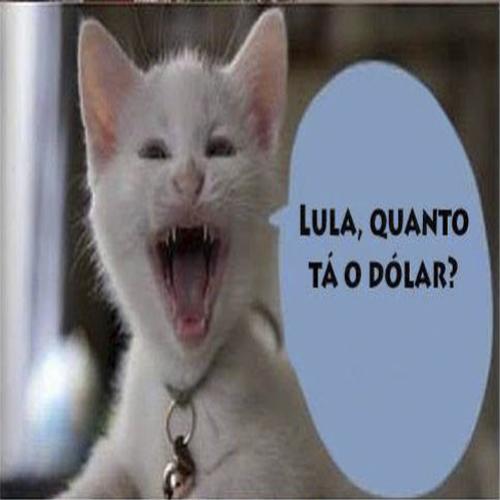Humor Parte 368 Link Irado Lula Quanto Está O Dólar