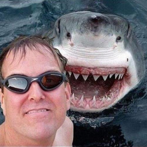 Os 10 selfies mais bizarros da internet 