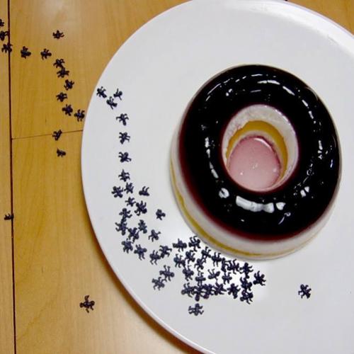 Por que dizem que comer formiga faz bem para a visão?