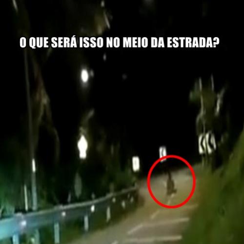 O que você faria se encontrasse essa coisa estranha no meio da estrada