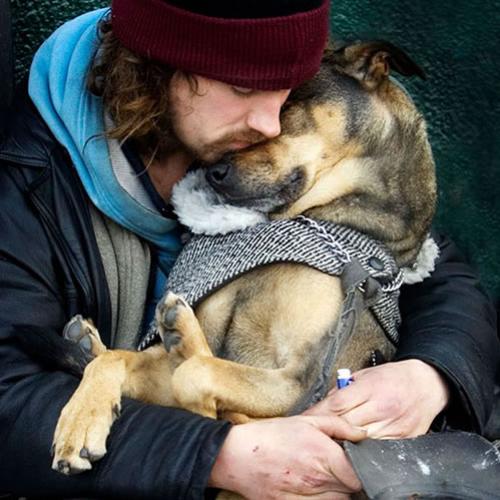 Os cães também são os melhores amigos de moradores de rua