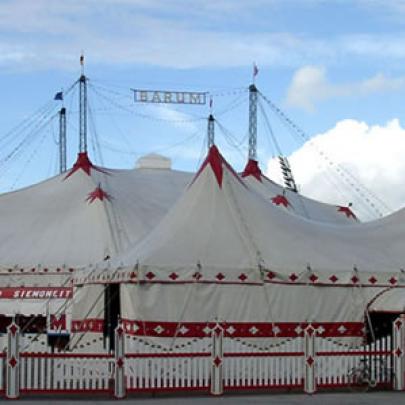 Vida no circo é razão de afeto e encantamento para circenses
