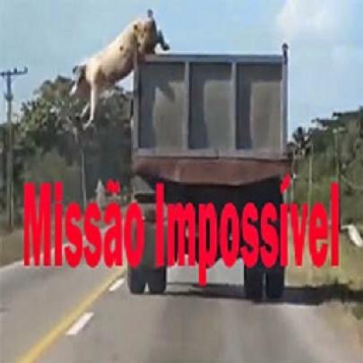 Missão Impossível: Rebelião dos Animais (Vídeo)