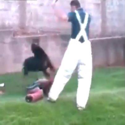 Rottweiler se solta e ataca treinador