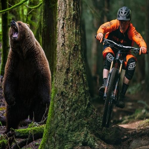 Urso persegue ciclistas em uma montanha na Eslováquia