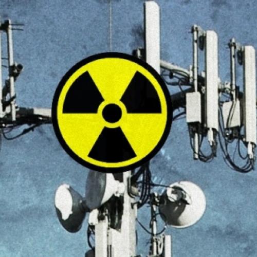Nova pesquisa mostra que a radiação emitida por celular é cancerígena.