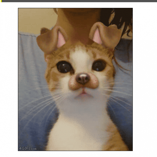 SnapchatCAT