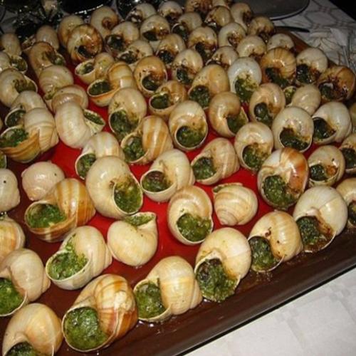 Por que os escargots são tão caros?