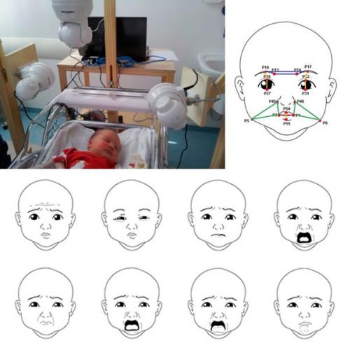 Software identifica expressões de dor em recém-nascidos
