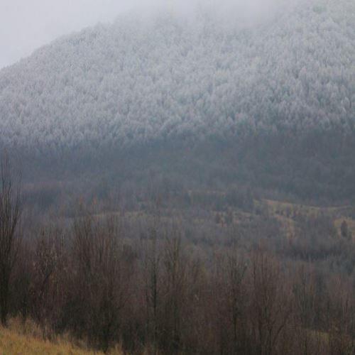 Esta inofensiva neblina esconde um terrível efeito que fará você