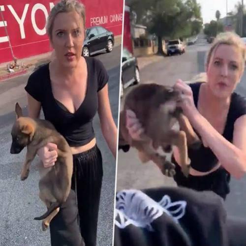 Mulher descontrolada joga seu cão em um homem e o acusa de roubá-lo