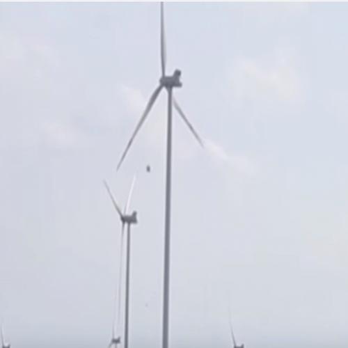 Ovni desliga turbinas eólicas
