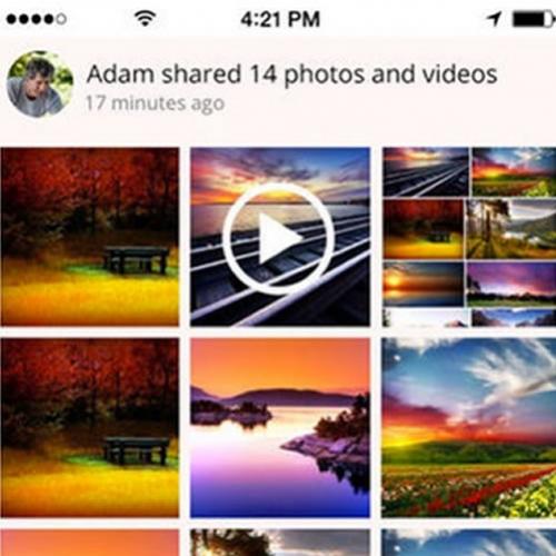 Google compra Odysee – app de compartilhamento e backup de fotos
