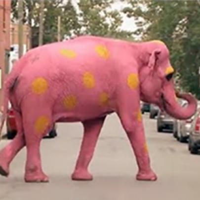 Pegadinha do  elefante rosa   com  bolinhas amarelas 