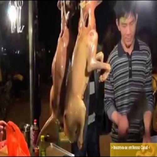 Festival de comedores de carne de cão gera revolta na China