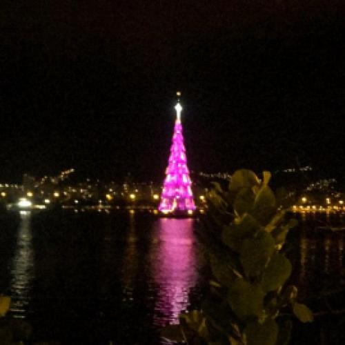 A tradicional Árvore de Natal da Lagoa no Rio de Janeiro