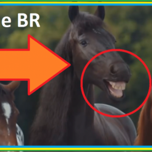 Cavalos HueBr - Cavalos engraçados