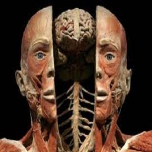 As 10 coisas que você não sabia sobre você