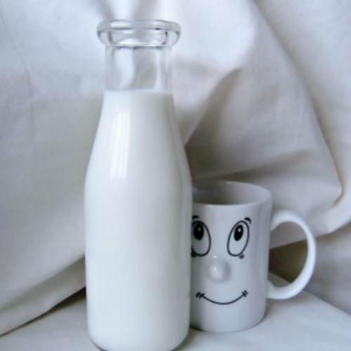 Lácteos: porque são importantes no controle da obesidade.