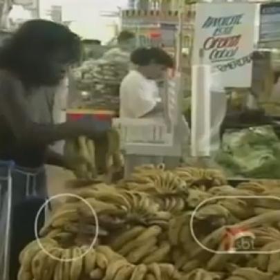 Pegadinha: Cobra nas bananas