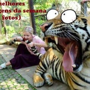 As melhores imagens da semana (136 fotos)
