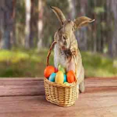 O que coelhos e ovos têm a ver com a Páscoa?