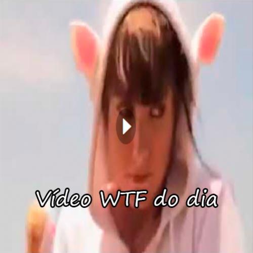 Vídeo WTF do dia