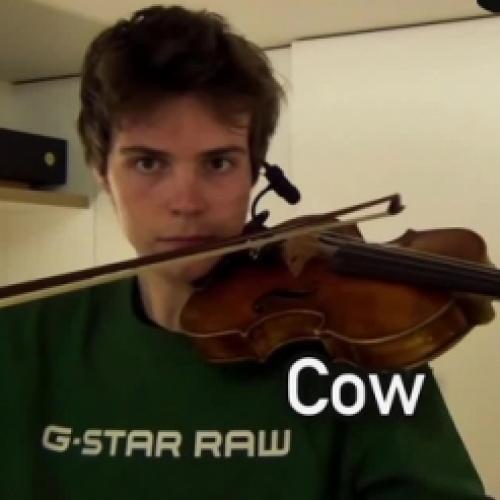 Homem imita animais apenas com seu violino
