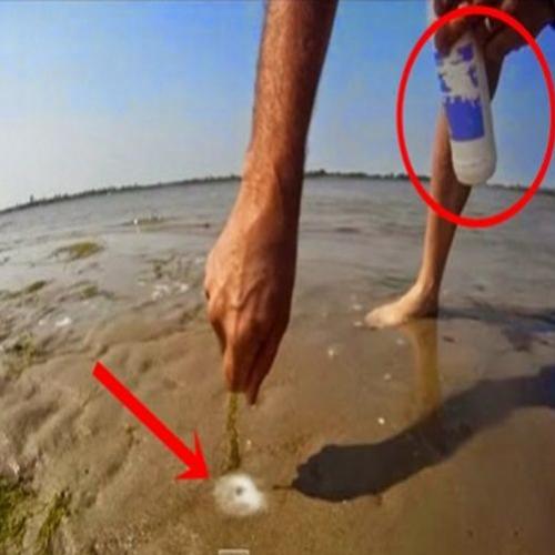 Veja o que acontece quando se coloca sal na areia dessa praia 