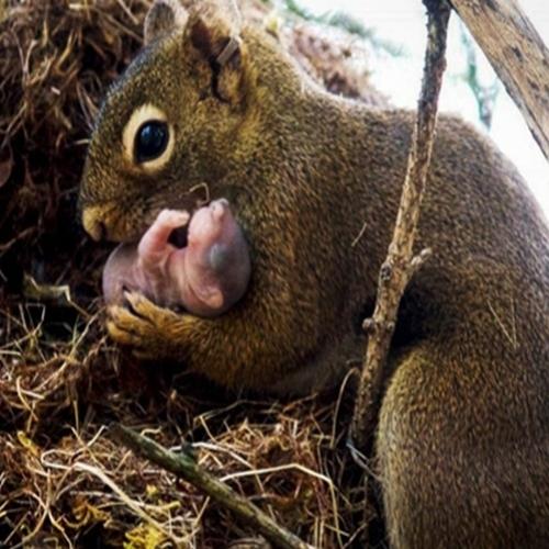 20 Belas imagens capturadas em um momento único