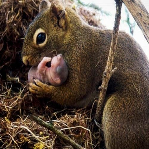 20 Belas imagens capturadas em um momento único