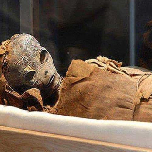  Múmia com aparência alienígena é encontrada por arqueólogo 