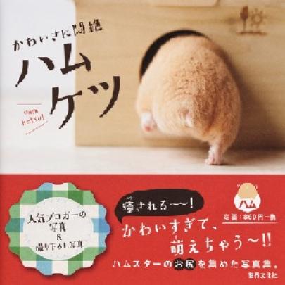 Nova paixão dos japoneses: Fotografar o traseiro de seus Hamsters