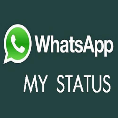 Como usar o My Status, a nova atualização do WhatsApp 
