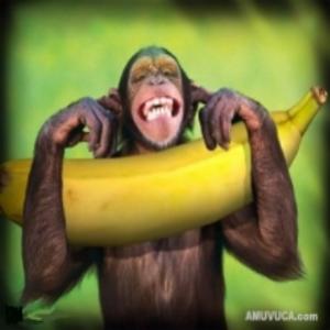 A Banana e seus inúmeros benefícios para saúde  