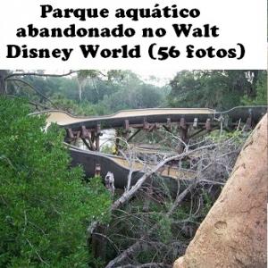 Conheça o Parque aquático abandonado no Walt Disney World (56 fotos)