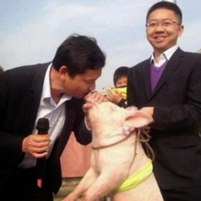 Diretor chinês dá selinho em porco após campanha de limpeza em escola