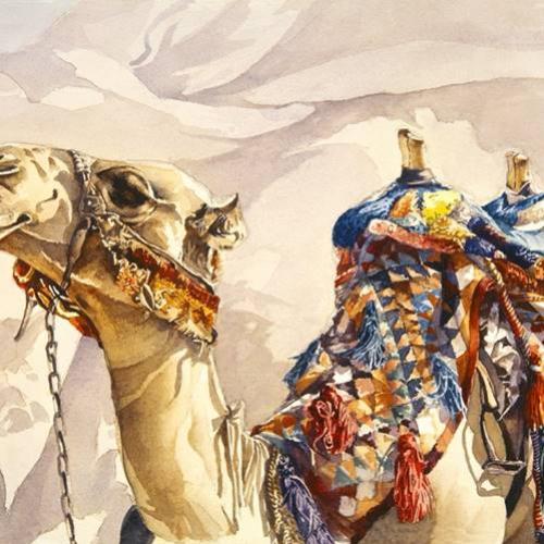 A curiosa história do nariz do camelo